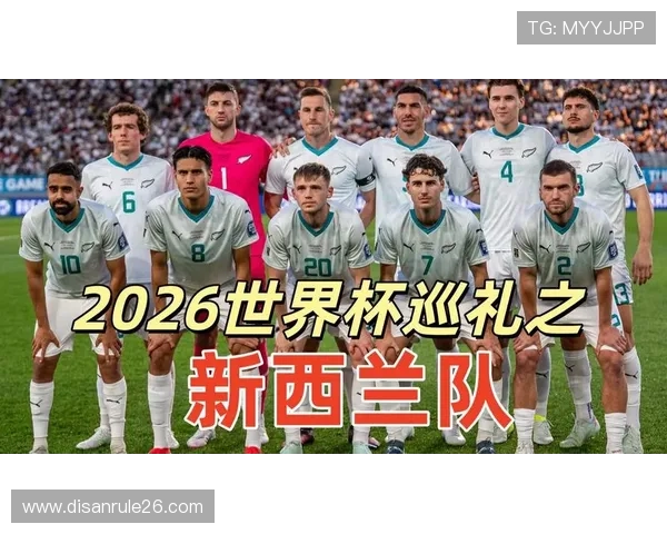 2026年世界杯新西兰对比利时比赛结果全面分析与赛后总结